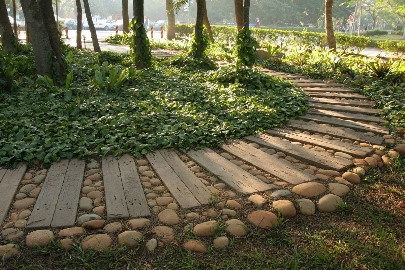 天然鹅卵石铺路